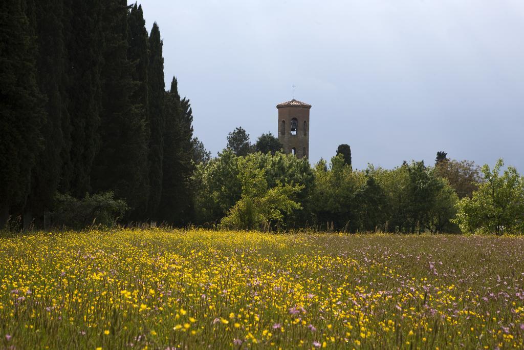 Agriturismo La Topaia Borgo San Lorenzo Exteriör bild