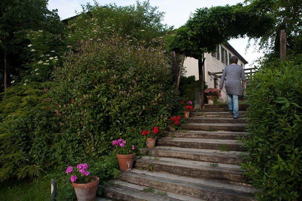 Agriturismo La Topaia Borgo San Lorenzo Exteriör bild