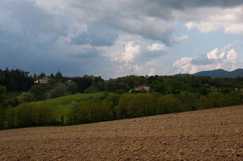 Agriturismo La Topaia Borgo San Lorenzo Exteriör bild