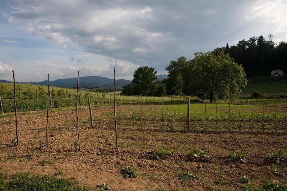 Agriturismo La Topaia Borgo San Lorenzo Exteriör bild