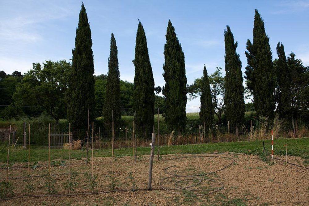 Agriturismo La Topaia Borgo San Lorenzo Exteriör bild